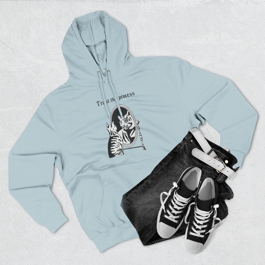 An inspiring comfy Fleece Hoodie — Three-Panel Pullover